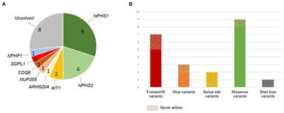 High detection rate for disease-causing variants in a cohort of 30 Iranian pediatric steroid resistant nephrotic syndrome cases